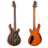 Teton Guitars M1680EB Electric Guitar
