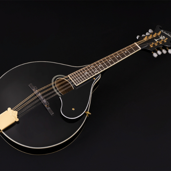Washburn Guitars Americana Series A Style Mandolin Black with Solid Top