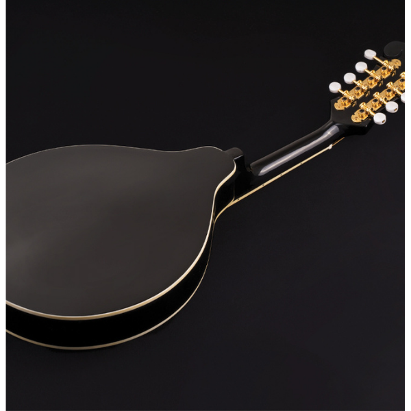 Washburn Guitars Americana Series A Style Mandolin Black with Solid Top