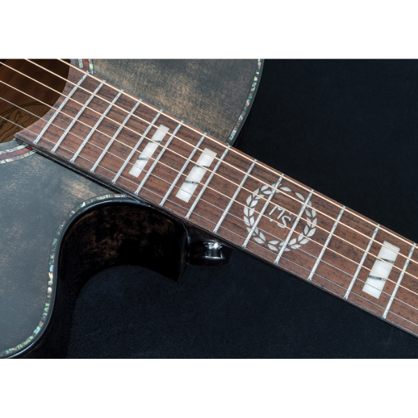 Washburn Guitars Micheal Sweet Jumbo Acoustic Guitar