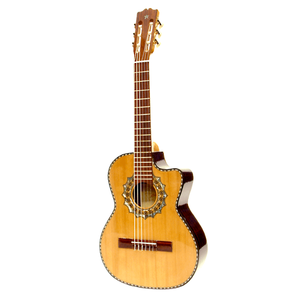 Paracho？Mexican guitar十 Paracho Elite Guitars Odessa-P 10 String Acoustic-Electric Bajo