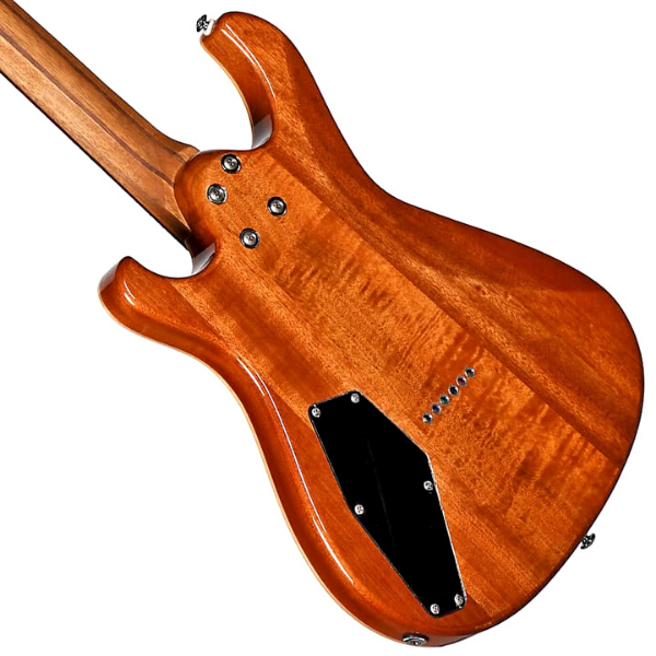 Teton Guitars R1630FM Electric Guitar