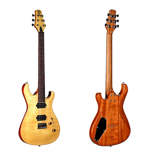 Teton Guitars R1630FM Electric Guitar