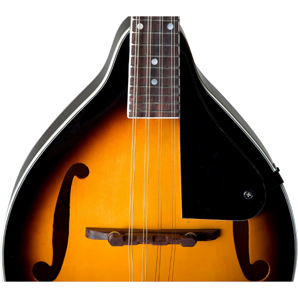 Rover RM-25 Student A-Model Mandolin