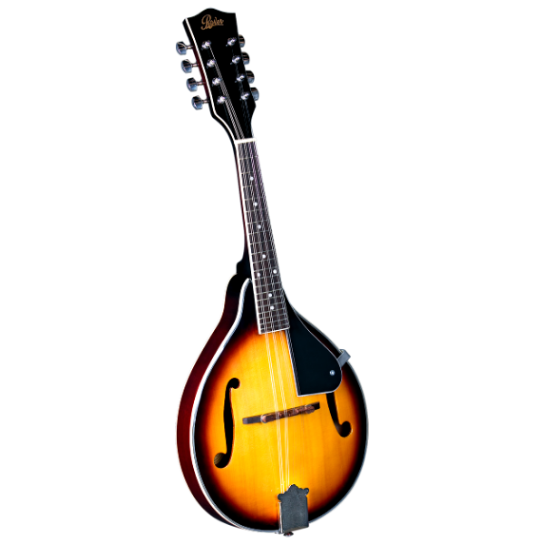 Rover RM-25S Student A-Model Mandolin