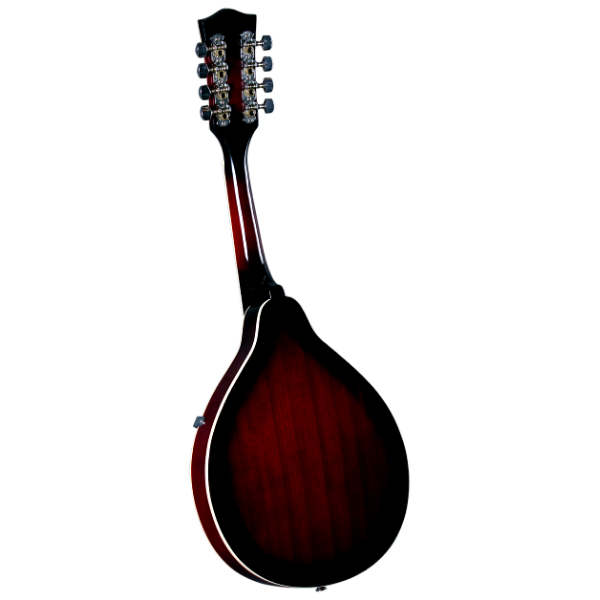 Rover RM-25S Student A-Model Mandolin – The Music Cart