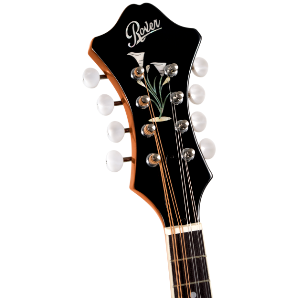 Rover RM-75 Deluxe Student F-model Mandolin