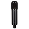 Microphone - SE SE2300 Multi Pattern Large Diaphragm Condenser Mic with Shockmount and Filter