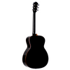 Teton Guitars STA100EBK Acoustic Guitar