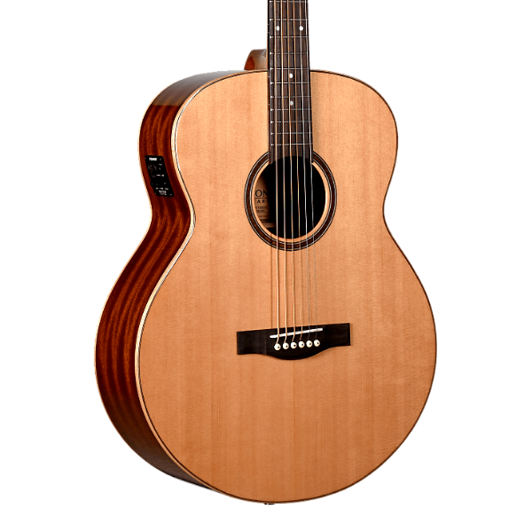 Teton Guitars STBT100ENT Acoustic Guitar
