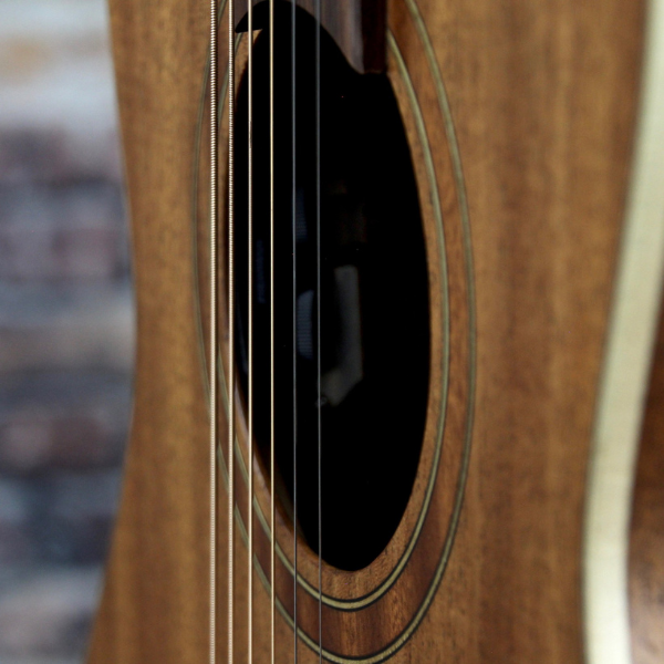 Teton Guitars STP103ENT Acoustic Guitar