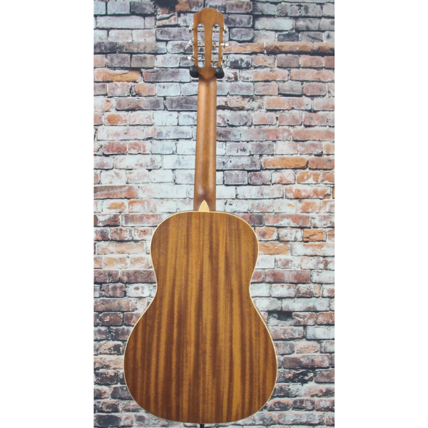 Teton Guitars STP103ENT Acoustic Guitar