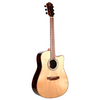 Teton Guitars STS160ZICENT Acoustic Guitar