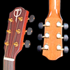 Teton Guitars STS205CENT Acoustic Guitar