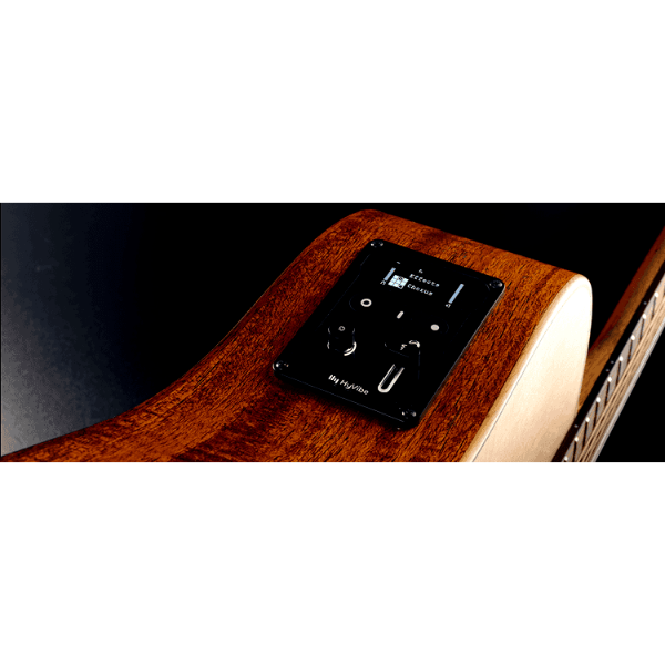 Lag Guitars Smart Guitars