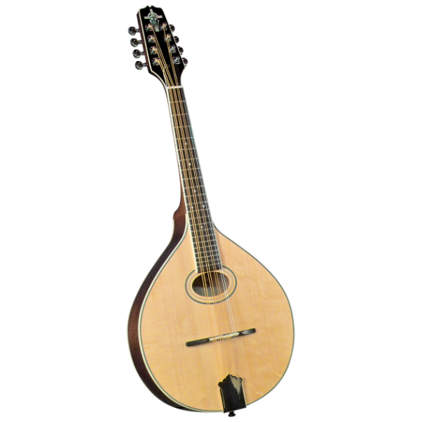 Trinity College TM-275 Standard Celtic Mandola