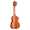 Ukulele - Teton Guitars TS103 Ukulele