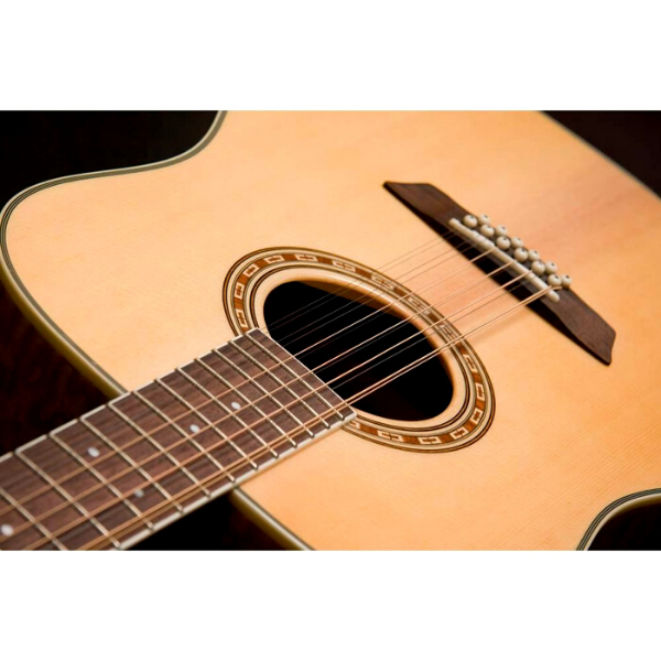 Washburn Guitars Dreadnought Solid Spruce Top Acoustic Gloss Finish