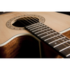 Washburn Guitars Solid Spruce Top Acoustic Electric