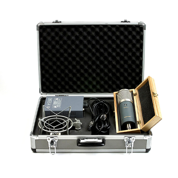 Microphone - SE Z5600A Large Diaphragm Tube Condenser Mic with 9 Polar Patterns