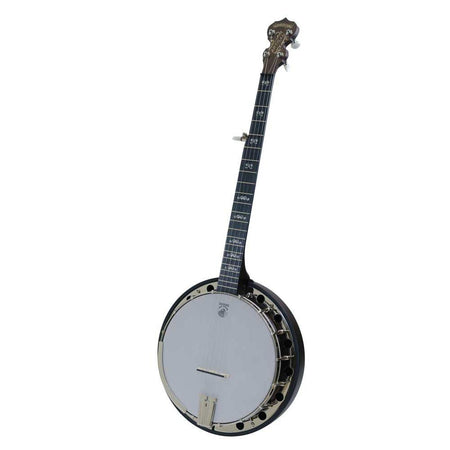 Deering Banjo Goodtime A2